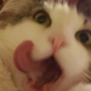 Meet your Posher, Said haniel